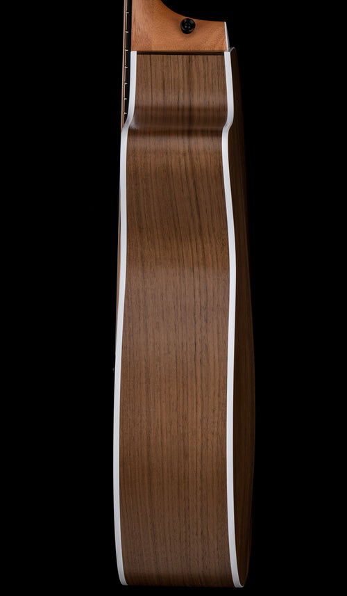 Taylor 214ce #16312 (Demonstration Model)