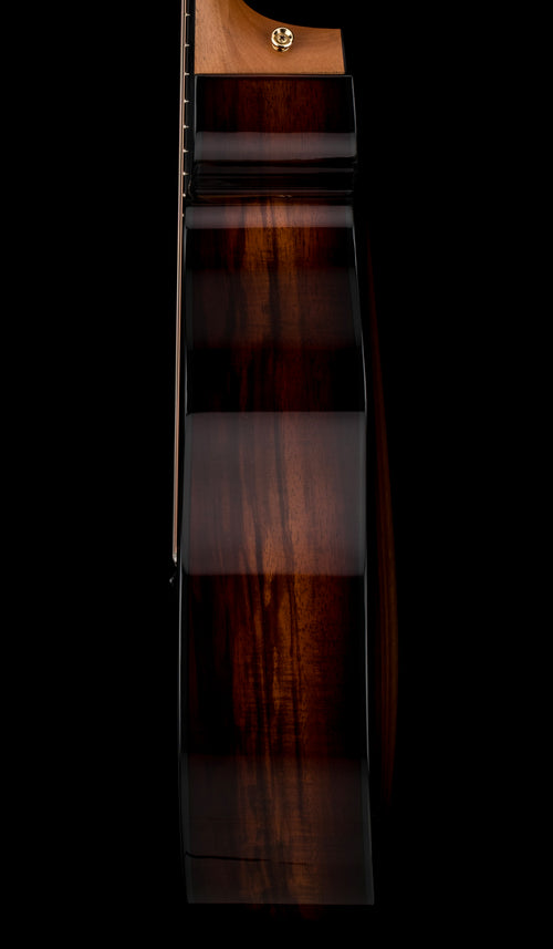 Taylor 224ce-K DLX - Shaded Edgeburst #66301 (Demonstration Model)