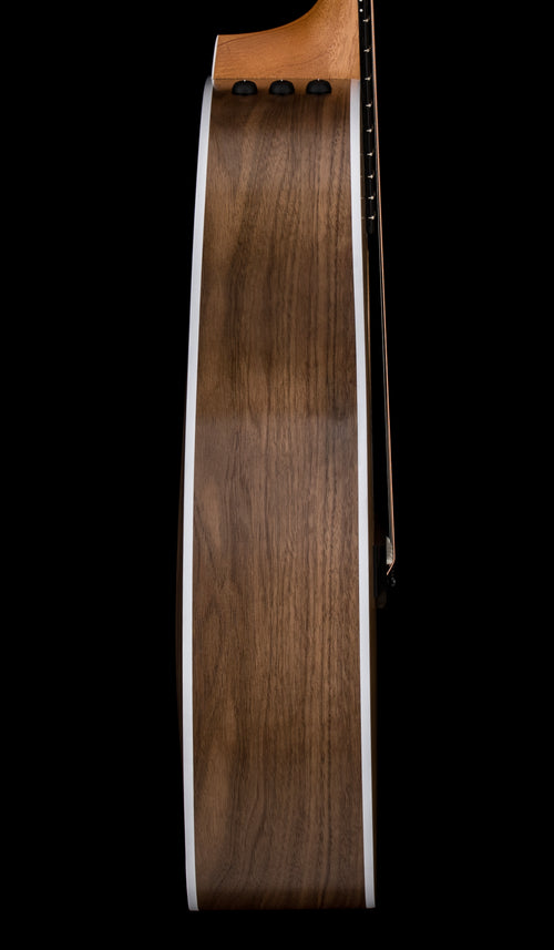 Taylor 214ce #36305 (Demonstration Model)