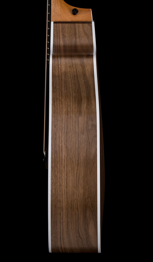 Taylor 214ce #36305 (Demonstration Model)