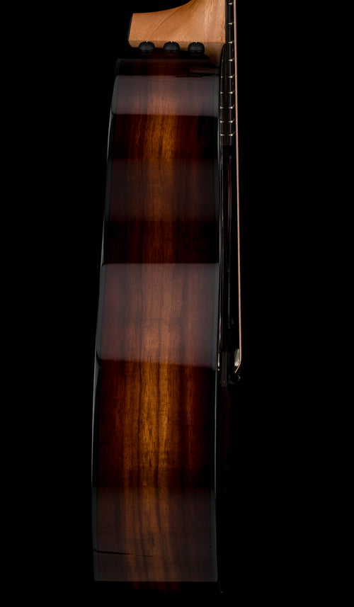Taylor 224ce-K DLX - Shaded Edgeburst #16423 (Demonstration Model)