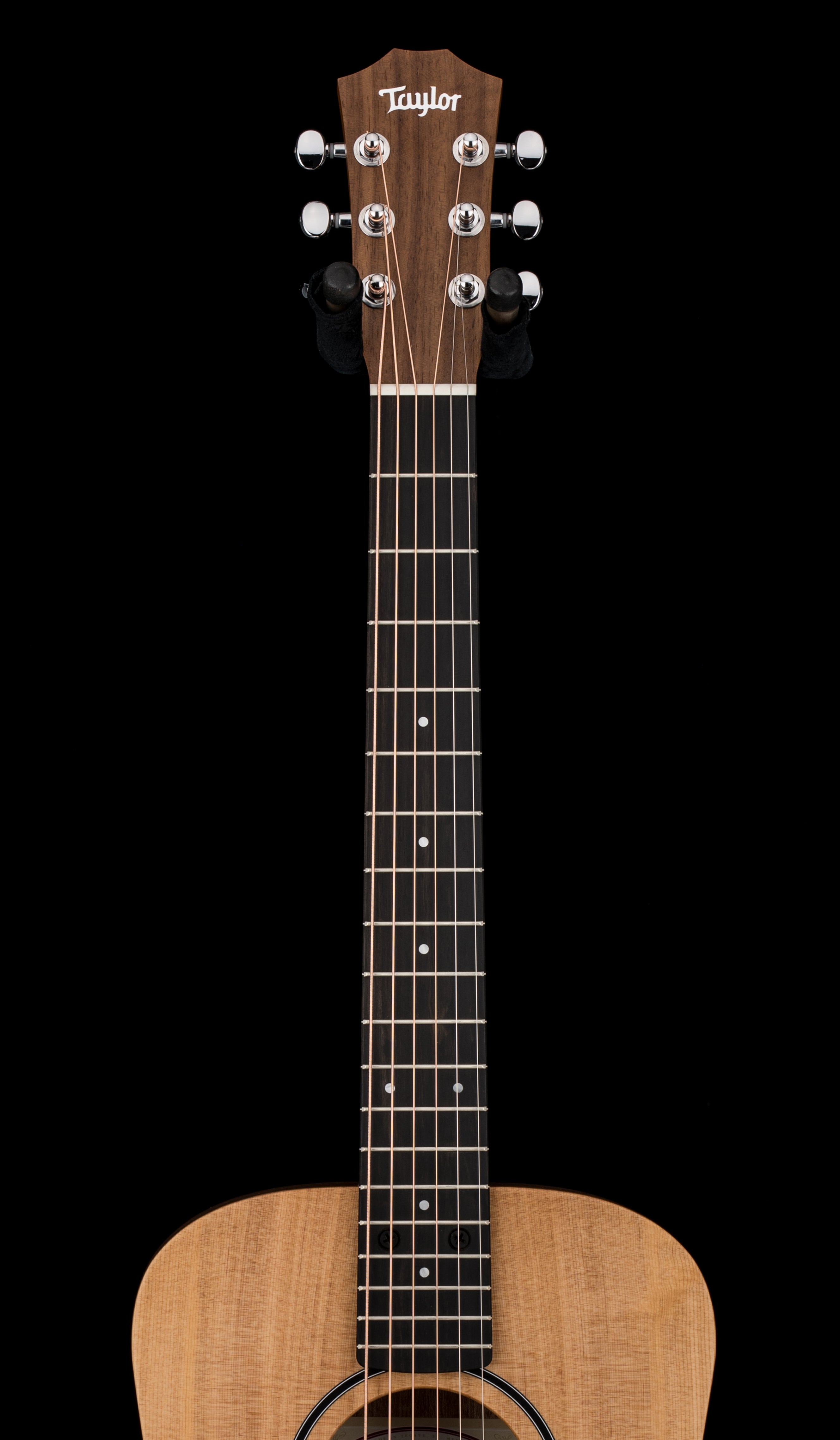 Taylor Baby Taylor (BT1) #65016 (Demonstration Model) – Empire Music