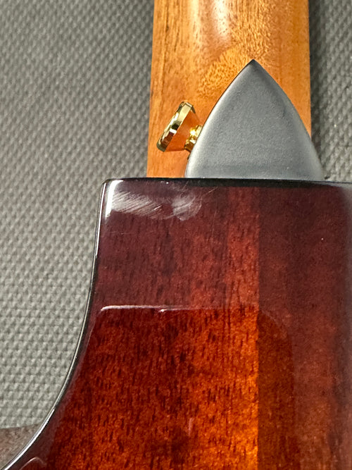 Taylor 224ce-K DLX - Shaded Edgeburst #46499 (Demonstration Model)