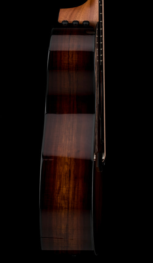 Taylor 224ce-K DLX - Shaded Edgeburst #46499 (Demonstration Model)
