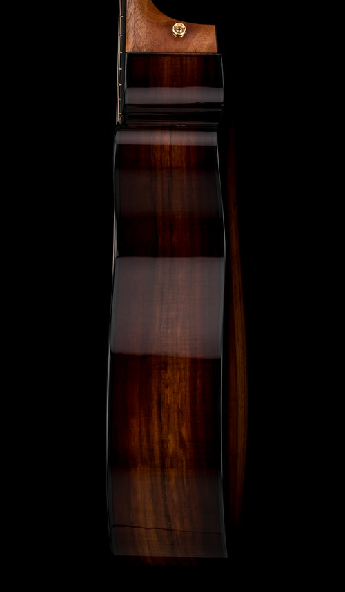 Taylor 224ce-K DLX - Shaded Edgeburst #46499 (Demonstration Model)