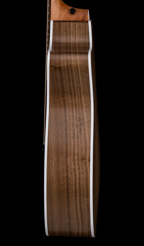 Taylor 214ce #76250 (Demonstration Model)