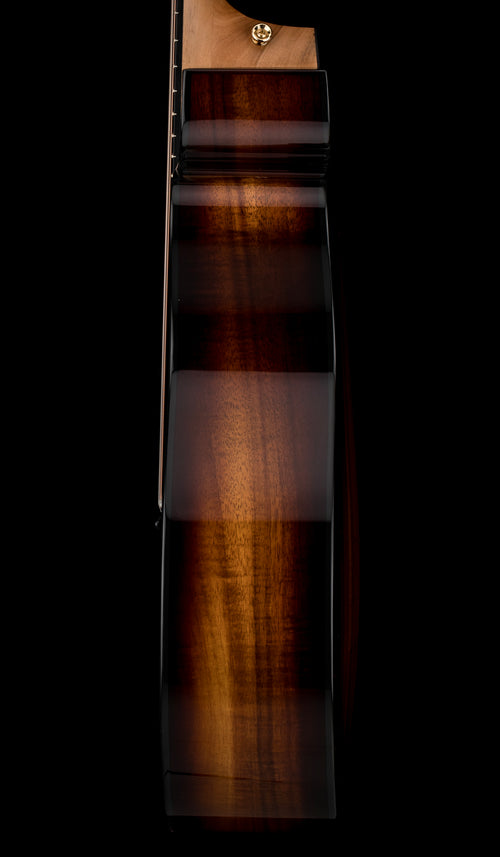 Taylor 224ce-K DLX - Shaded Edgeburst #16396 (Demonstration Model)