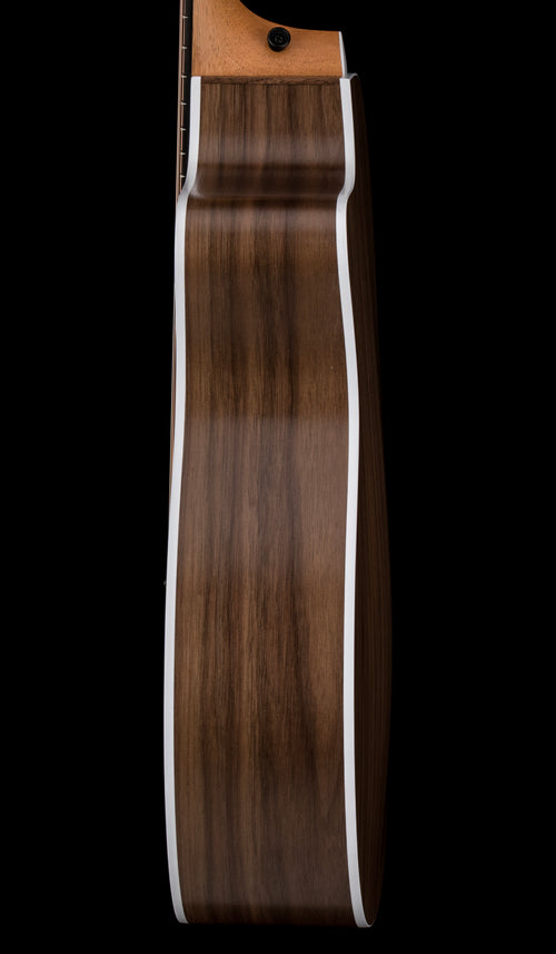 Taylor 214ce #66228 (Demonstration Model)