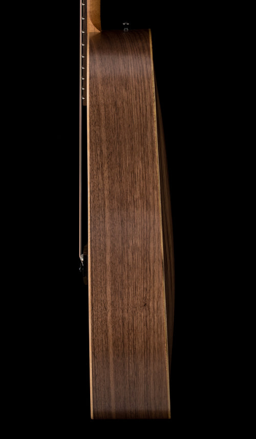 Taylor BBTe #25040 (Demonstration Model)