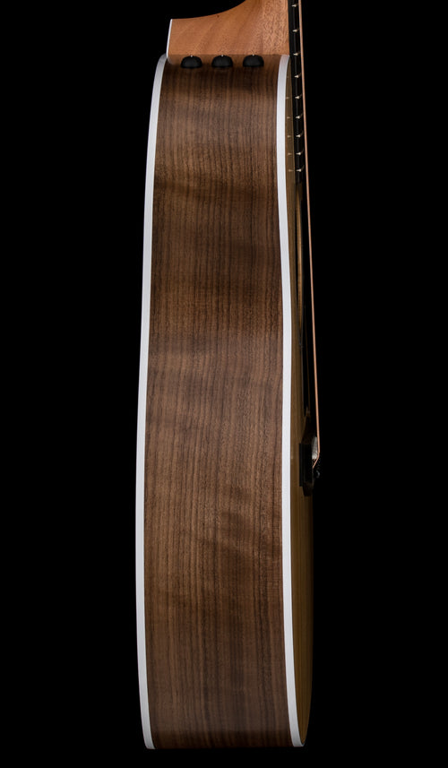 Taylor 214ce #86336 (Demonstration Model)