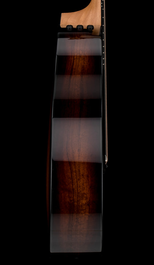 Taylor 224ce-K DLX - Shaded Edgeburst #25361 (Demonstration Model)