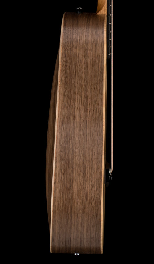 Taylor Baby Taylor (BT1e) LH #15029 (Demonstration Model)