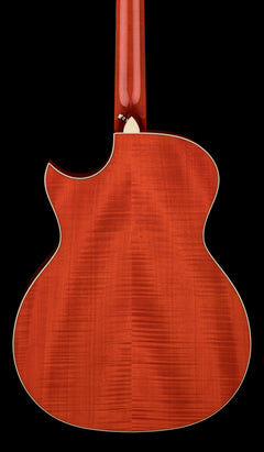Taylor Doyle Dykes Signature Model #25061 (NAMM 2026)