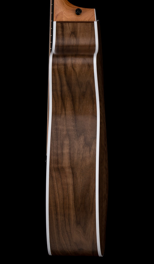 Taylor 214ce #26304 (Demonstration Model)