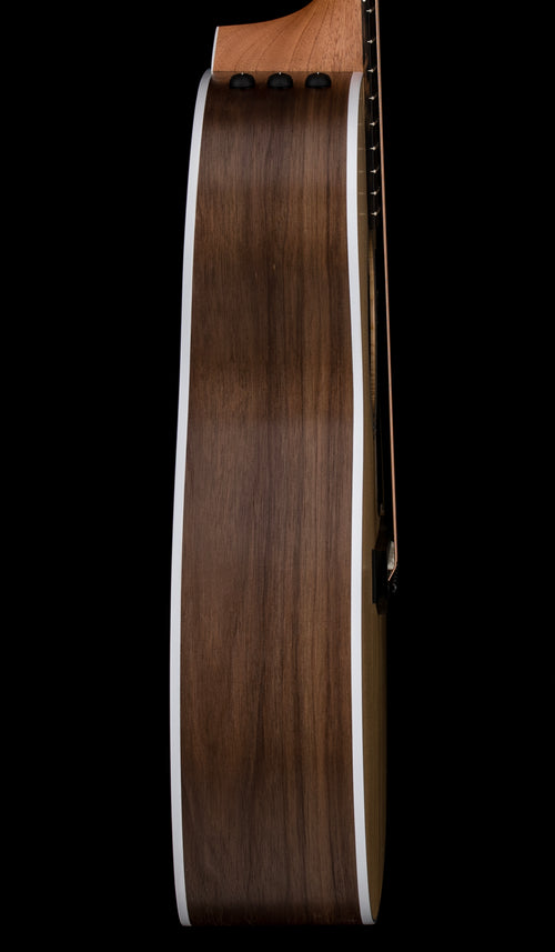 Taylor 214ce #66220 (Demonstration Model)
