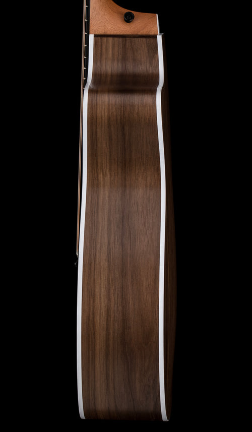 Taylor 214ce #66220 (Demonstration Model)