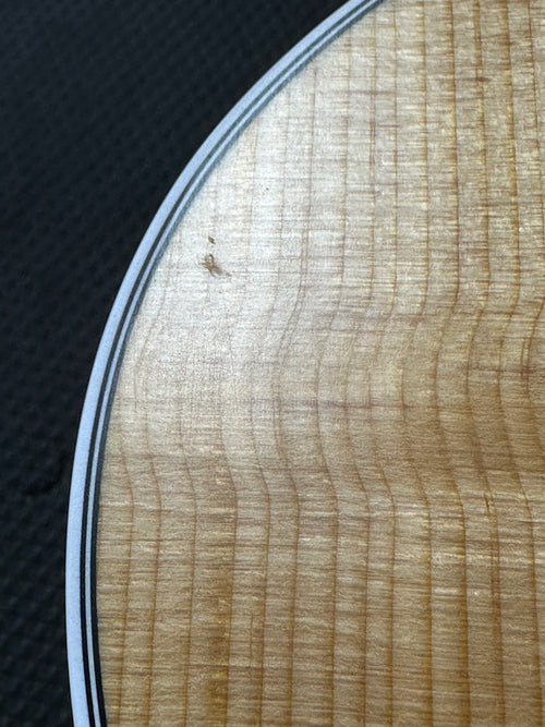 Taylor 212ce #16464 (Demonstration Model)