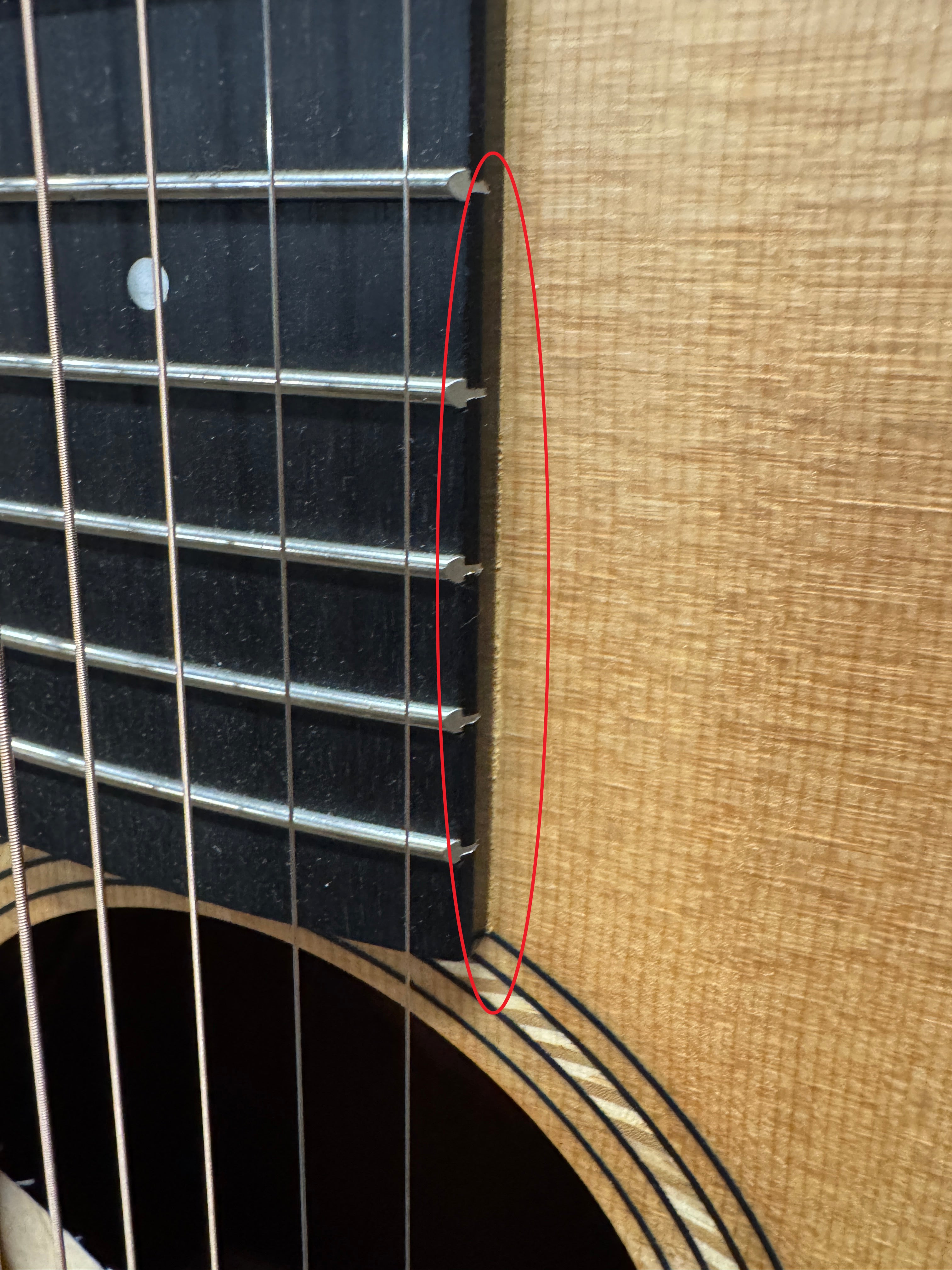 Taylor Academy 12e #32285 (Open Box) – Empire Music
