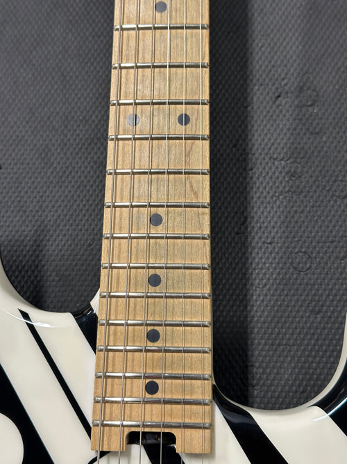 Used EVH Striped Series Circles (2014) - Black and White Crop Circles #00889