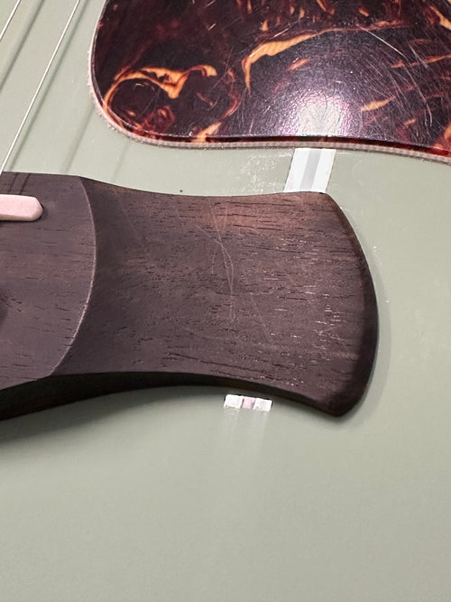 Taylor Custom Shop Gold Label C14e B6007 - Fern Green #01563 (NAMM 2026)