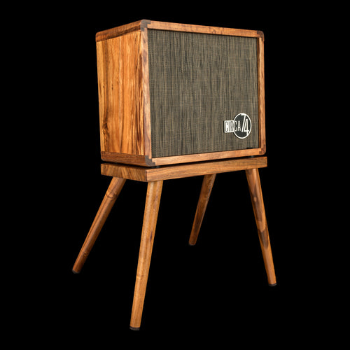 Taylor Koa Circa 74 2-in-1 Acoustic Guitar / Vocal Amplifier + Amp Stand #04457 (NAMM 2026)