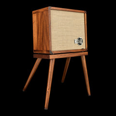 Taylor Circa 74 2-in-1 Acoustic Guitar / Vocal Amplifier + Amp Stand #04023 (NAMM 2026)