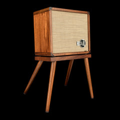 Taylor Circa 74 2-in-1 Acoustic Guitar / Vocal Amplifier + Amp Stand #04022 (NAMM 2026)