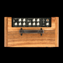 Taylor Koa Circa 74 2-in-1 Acoustic Guitar / Vocal Amplifier + Amp Stand #04886 (NAMM 2026)