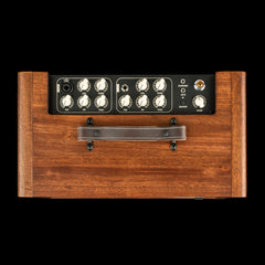 Taylor Circa 74 2-in-1 Acoustic Guitar / Vocal Amplifier + Amp Stand #04023 (NAMM 2026)