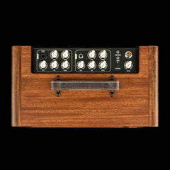 Taylor Circa 74 2-in-1 Acoustic Guitar / Vocal Amplifier + Amp Stand #04022 (NAMM 2026)