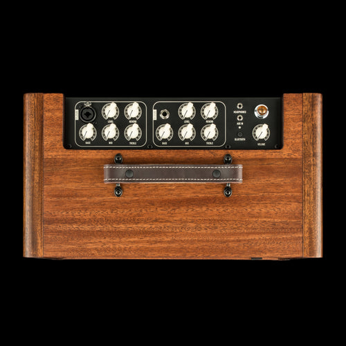 Taylor Circa 74 2-in-1 Acoustic Guitar / Vocal Amplifier + Amp Stand #04022 (NAMM 2026)